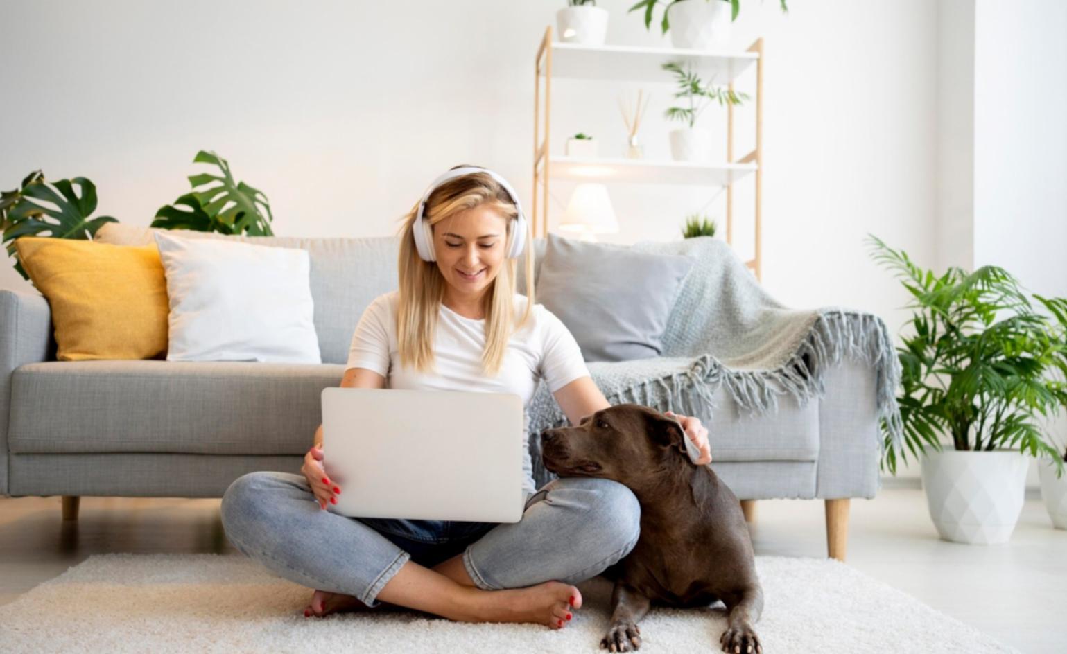 Entreprise utilisant l'analyse comparative budgétaire
